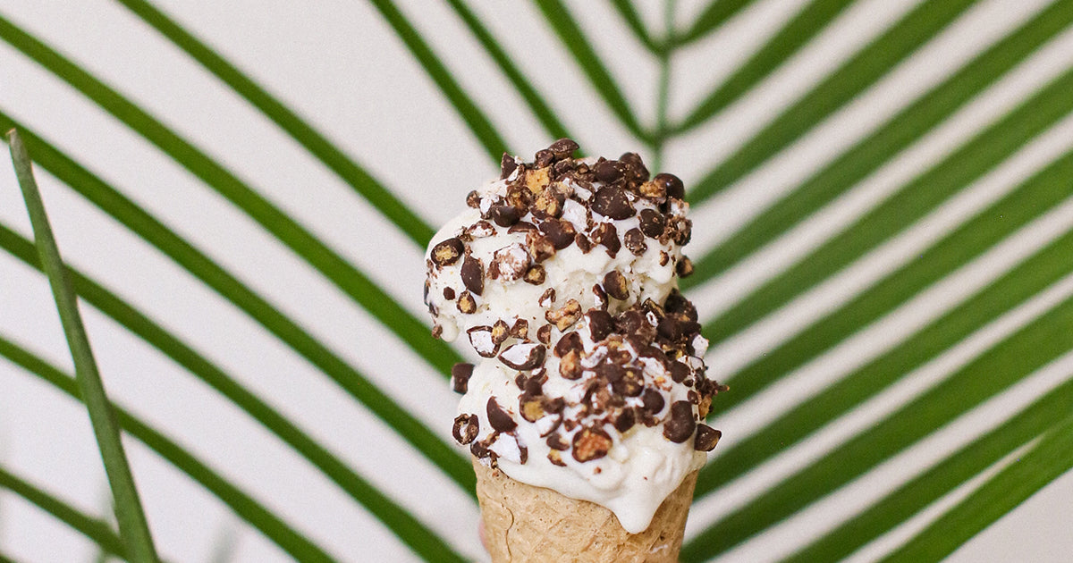 Vanilla Bean Coconut Ice Cream with Chocolate Covered S'more Bites