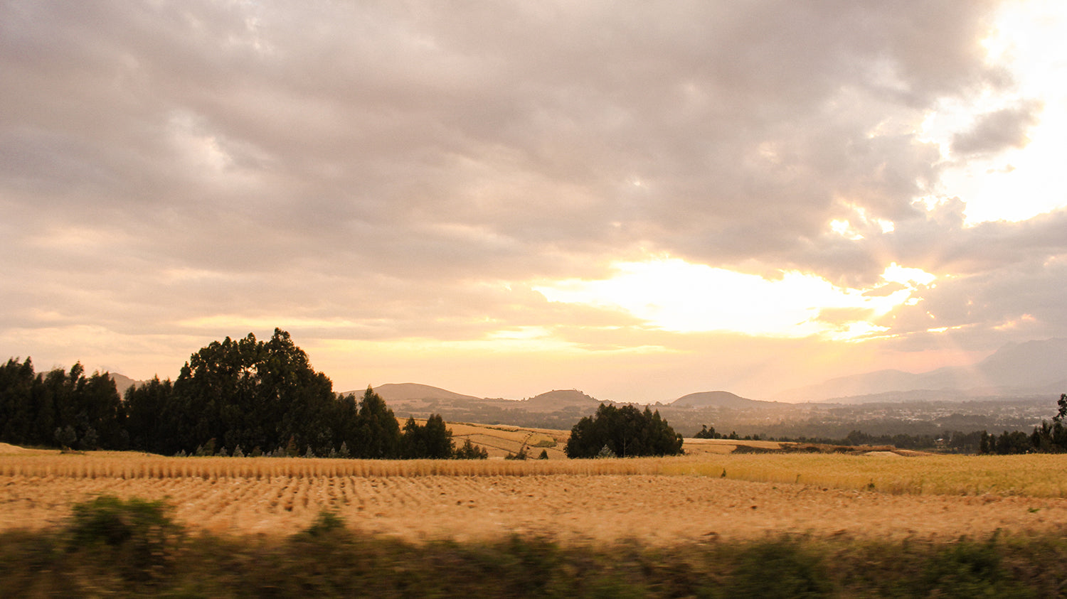 ORIGIN TRIP #30: MABABU, TANZANIA- 2016